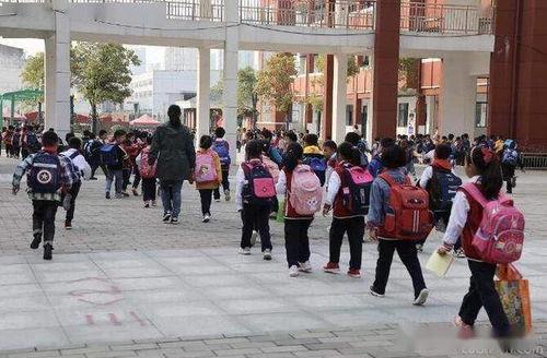 最新爆料曹县汇文小学,揭开校园安全与教育监管的隐忧 第2张 最新爆料曹县汇文小学,揭开校园安全与教育监管的隐忧 第2张